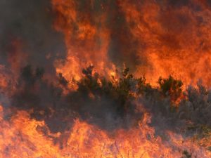 Imaggeo on Mondays: A painted forest fire