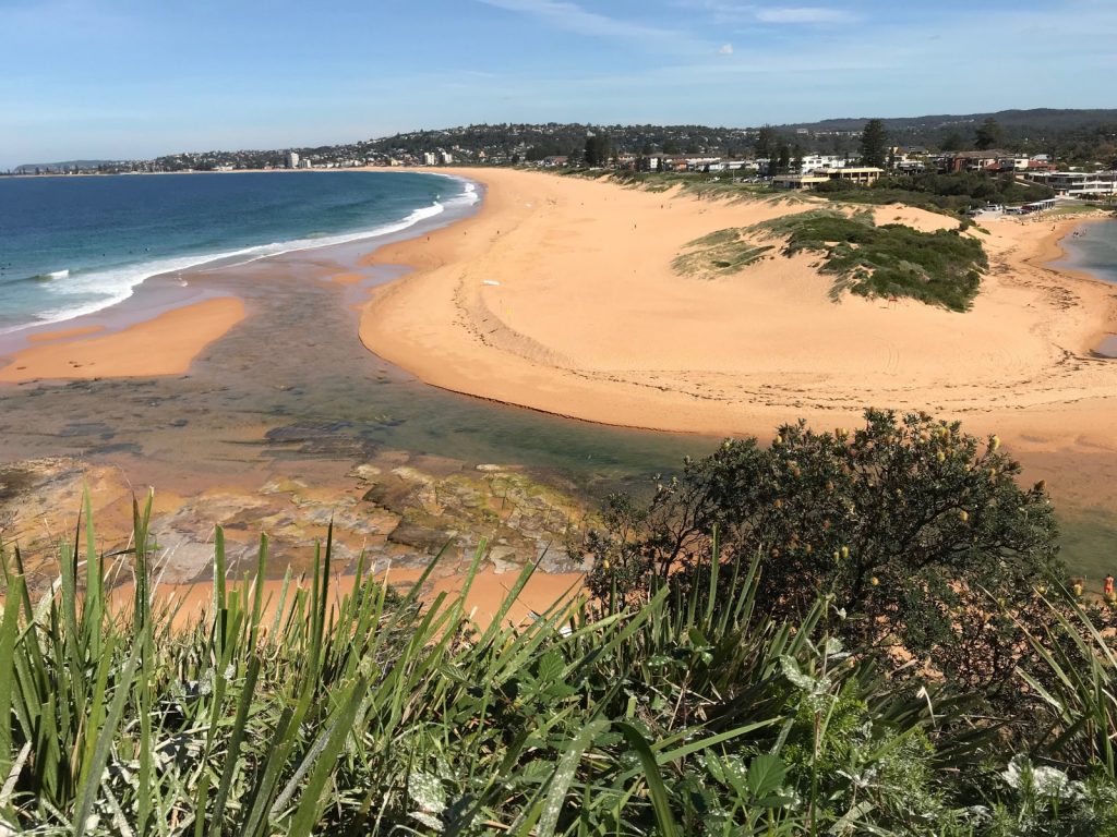 Back for the first time: measuring change at Narrabeen–Collaroy Beach