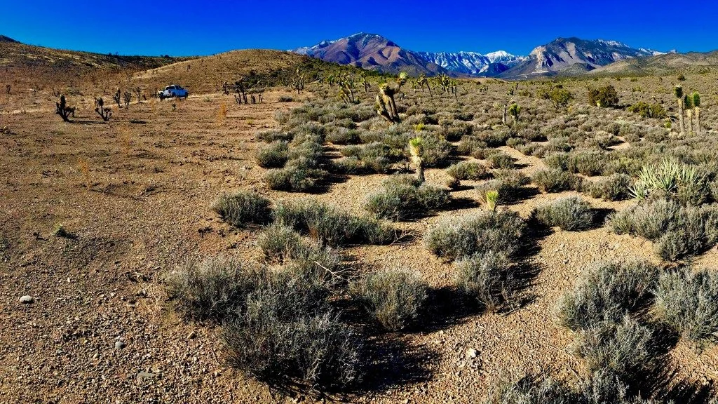 Imaggeo on Mondays: At the edge of a wildfire