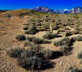 Imaggeo on Mondays: At the edge of a wildfire