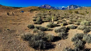 Imaggeo on Mondays: At the edge of a wildfire
