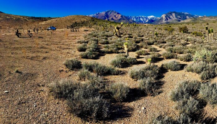 Imaggeo on Mondays: At the edge of a wildfire