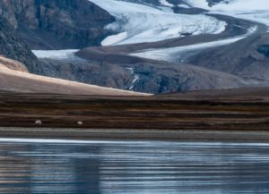Imaggeo on Mondays: A walk at the glacier