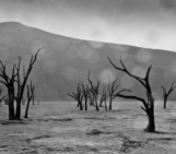 Imaggeo on Mondays: Rain on the Namib Desert