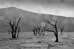 Imaggeo on Mondays: Rain on the Namib Desert
