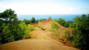 Imaggeo On Mondays: Contrasted island in the Mozambic Canal