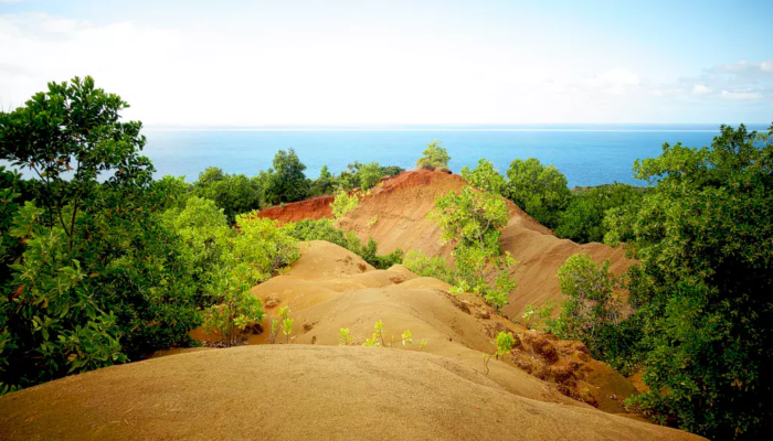 Imaggeo On Mondays: Contrasted island in the Mozambic Canal