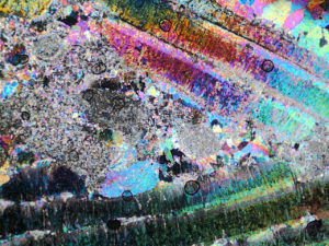 Imaggeo On Mondays: Psychedelic Foraminifera