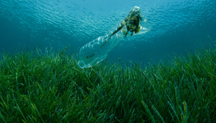 Imaggeo On Mondays: “The most valuable thing we extract from the ocean is our existence” Dr Sylvia Earle