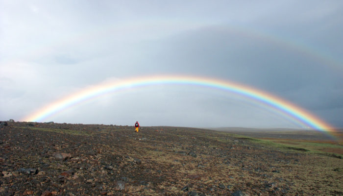 LGBTQIA+ in the field