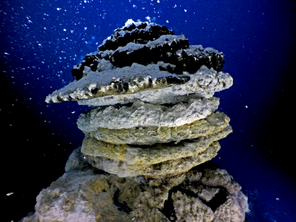 Imaggeo On Monday: Under the sea, in the deep, where fire meets water and life emerges III