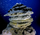 Imaggeo On Monday: Under the sea, in the deep, where fire meets water and life emerges III