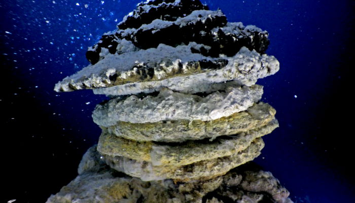 Imaggeo On Monday: Under the sea, in the deep, where fire meets water and life emerges III