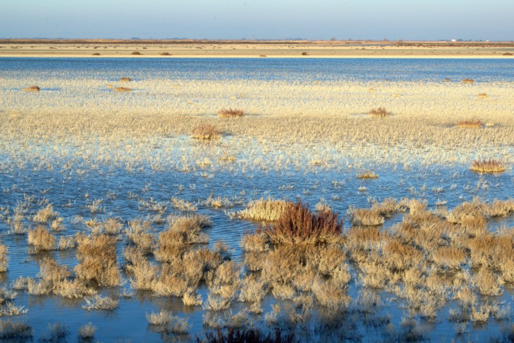 Imaggeo On Monday: The kidneys of the Planet