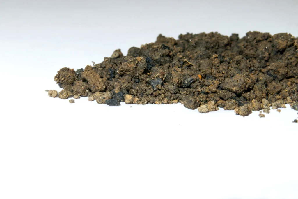 Imaggeo On Monday: Carbon-sink
