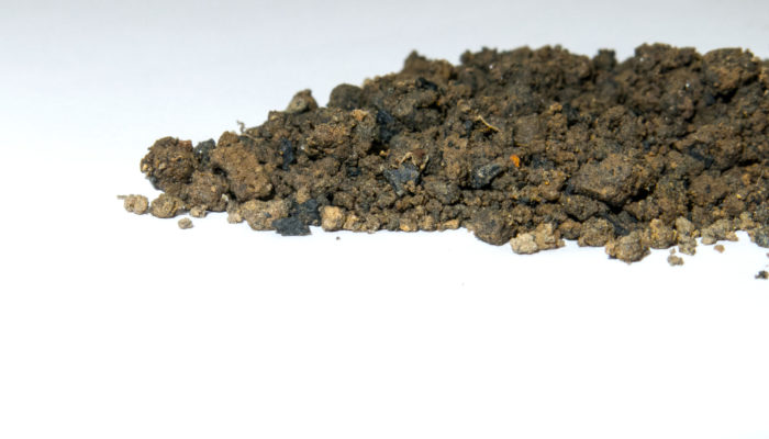 Imaggeo On Monday: Carbon-sink