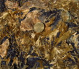 Imaggeo On Monday: Hedenbergite – Ilvaite skarn, Calamita, Island of Elba