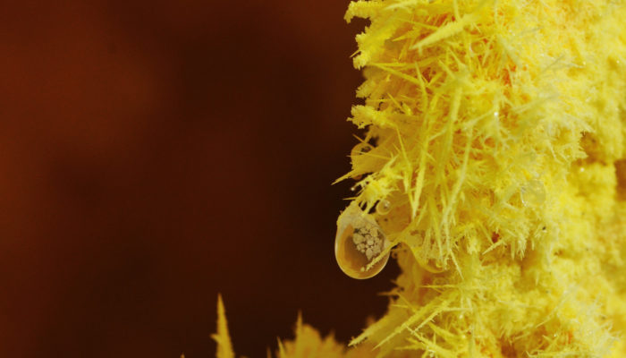 Imaggeo On Monday: Condensation drop on sulphur