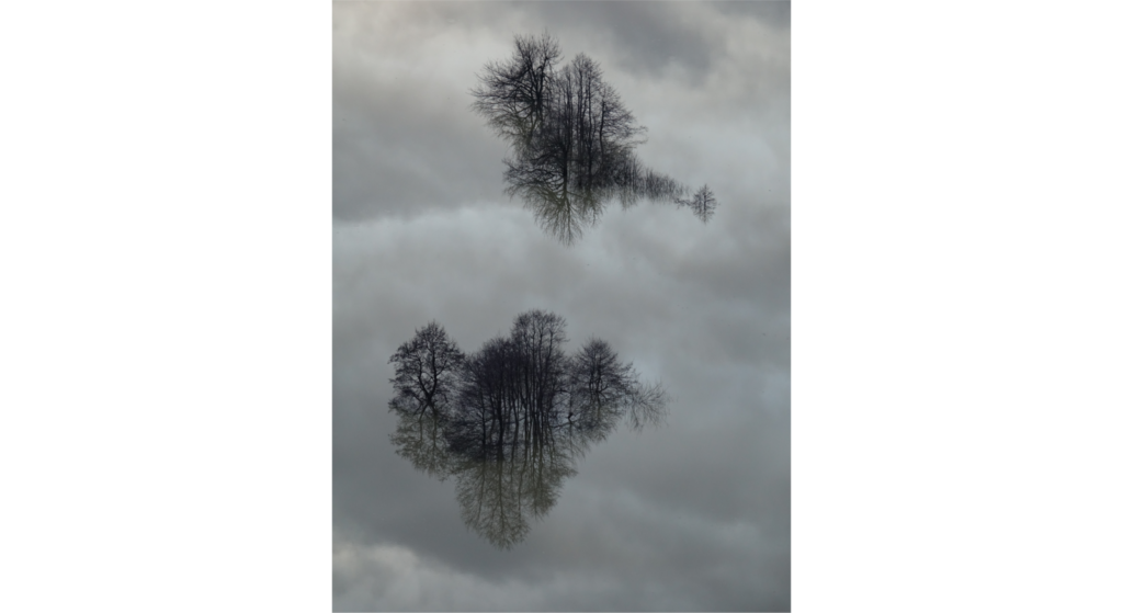 Imaggeo On Monday: Reflections in floodwater