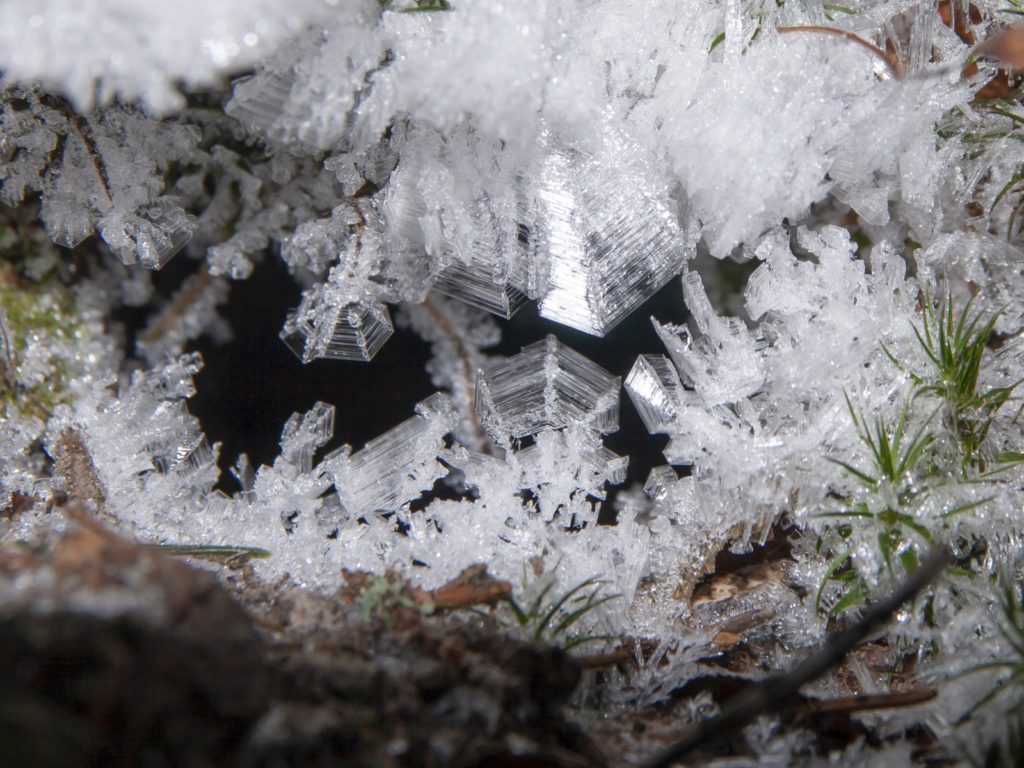 Imaggeo On Monday: Nature of ice crystals