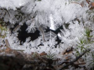 Imaggeo On Monday: Nature of ice crystals