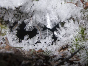 Imaggeo On Monday: Nature of ice crystals