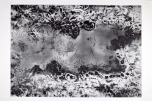 Imaggeo On Monday: Lichtenberg Figure Visualisation