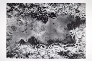 Imaggeo On Monday: Lichtenberg Figure Visualisation