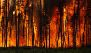 GeoPolicy: What does the IPCC’s 6th Assessment Report tell us about the future?