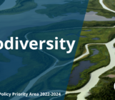 GeoTalk: what is the EGU Biodiversity Task Force? with Policy Manager Chloe Hill