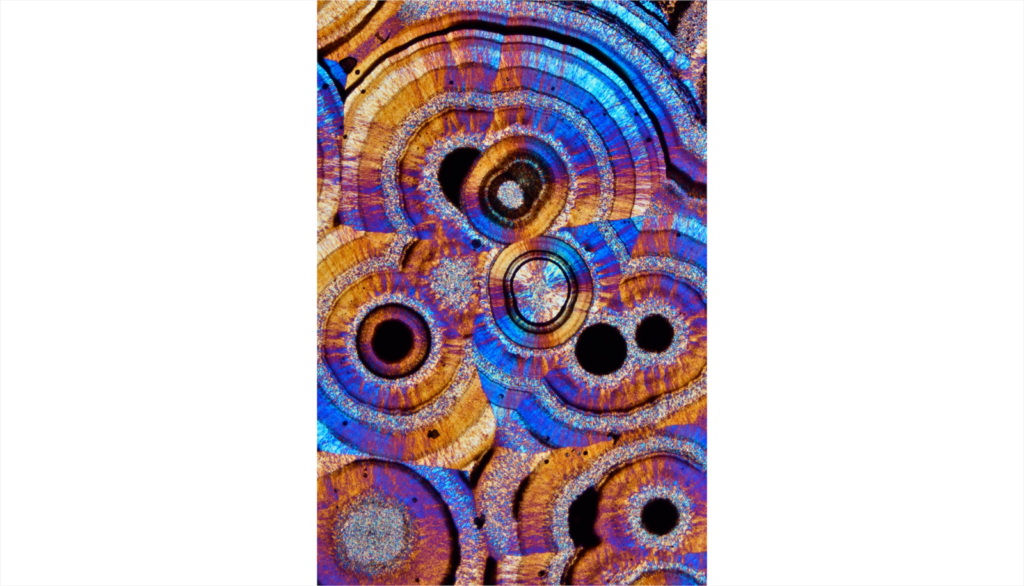 Imaggeo On Monday: Geometric Microscape of Agate