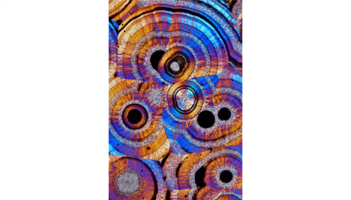 Imaggeo On Monday: Geometric Microscape of Agate
