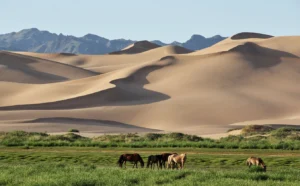 EGU Photo Competition 2022: Now open for submissions!