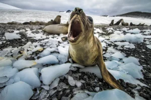 What is the EGU (extraordinary virtual) Plenary, and why should I attend?