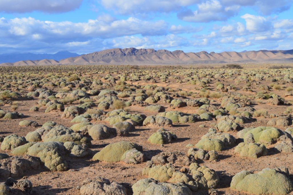 Imaggeo On Monday: The desert of the cauliflowers