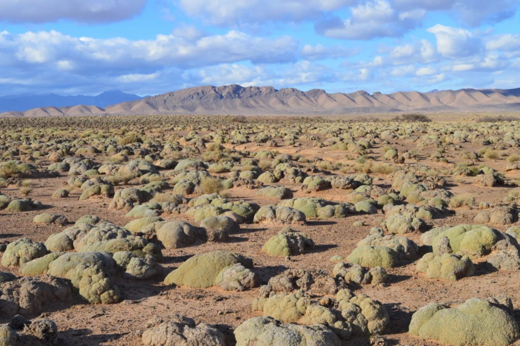 Imaggeo On Monday: The desert of the cauliflowers