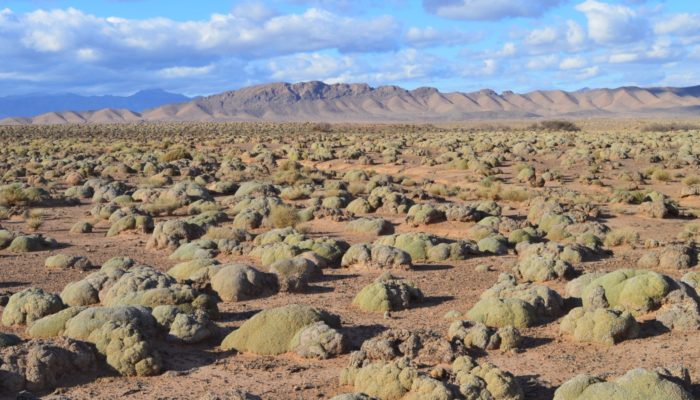 Imaggeo On Monday: The desert of the cauliflowers