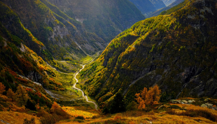 GeoPolicy: Responding to the EU Nature Restoration Law