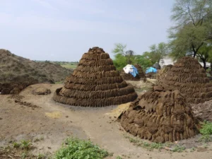 Imaggeo On Monday: Works of art – works of muck