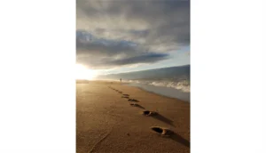Imaggeo On Monday: Graduate life – keep going, don’t give up