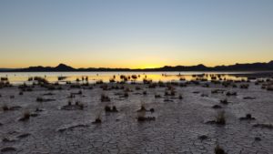 Day and Night – Flood and Drought by Martina Klose