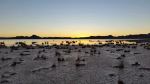 Day and Night – Flood and Drought by Martina Klose