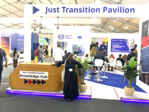 Sustainable Energy Geoscientist reflects on UN’s COP27
