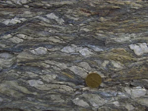 Imaggeo On Monday: S-C mylonite in the Calamita Schists (Island of Elba, Italy)