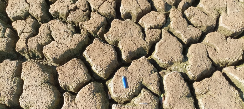 Imaggeo On Monday: Scale model of Doñana marshes