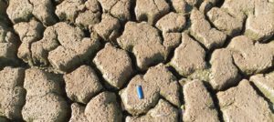 Imaggeo On Monday: Scale model of Doñana marshes