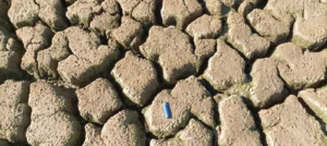 Imaggeo On Monday: Scale model of Doñana marshes