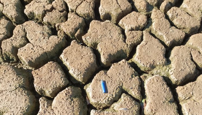 Imaggeo On Monday: Scale model of Doñana marshes