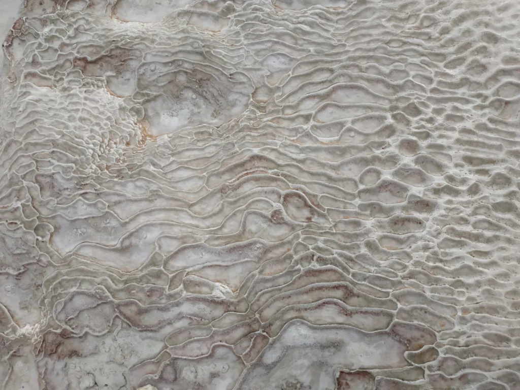 Imaggeo On Monday: Fingerprint in the cotton
