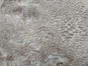 Imaggeo On Monday: Fingerprint in the cotton